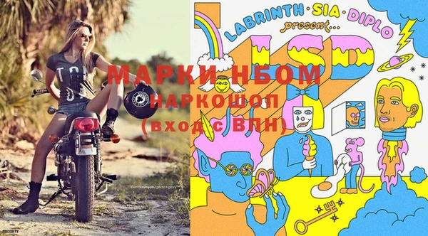 ПСИЛОЦИБИНОВЫЕ ГРИБЫ Абинск