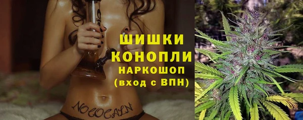ГАЛЛЮЦИНОГЕННЫЕ ГРИБЫ Наволоки
