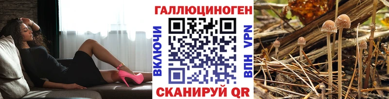 Галлюциногенные грибы GOLDEN TEACHER  гидра ссылки  нарко площадка какой сайт  Мосальск 
